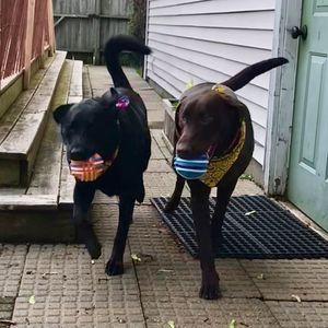 Meet your Posher, Lori